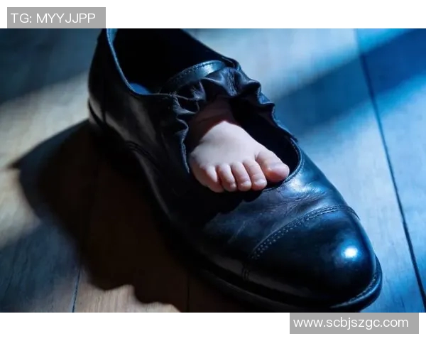 篮球明星万斯的传奇故事与成就揭秘